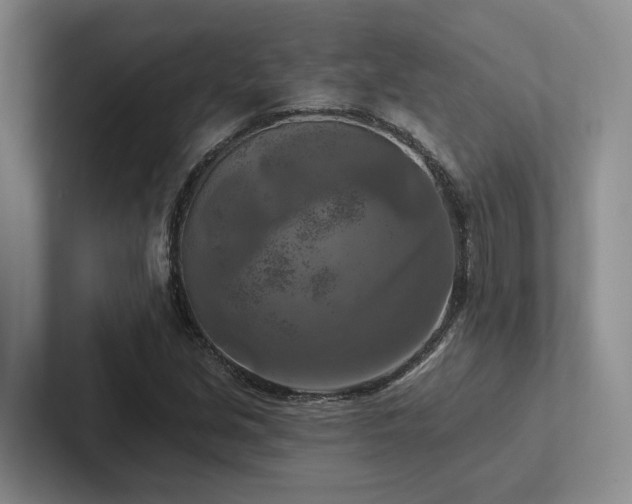 X0000102501213200808081342