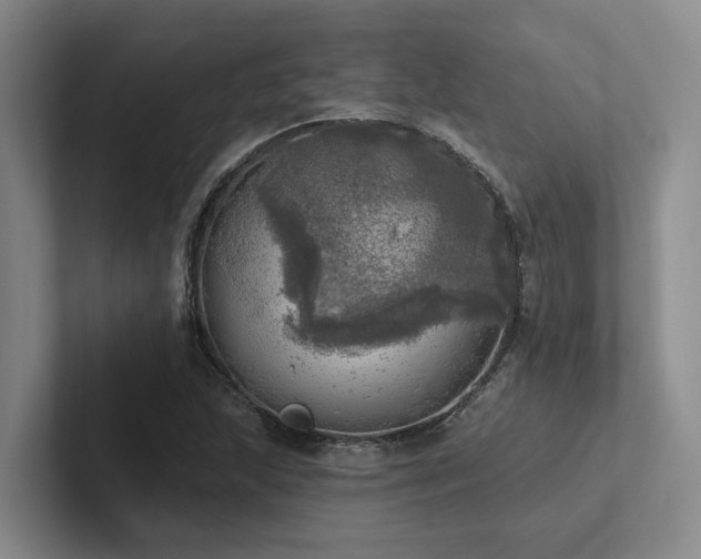 X0000102501215200808081342