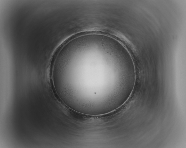 X0000102501216200808081342