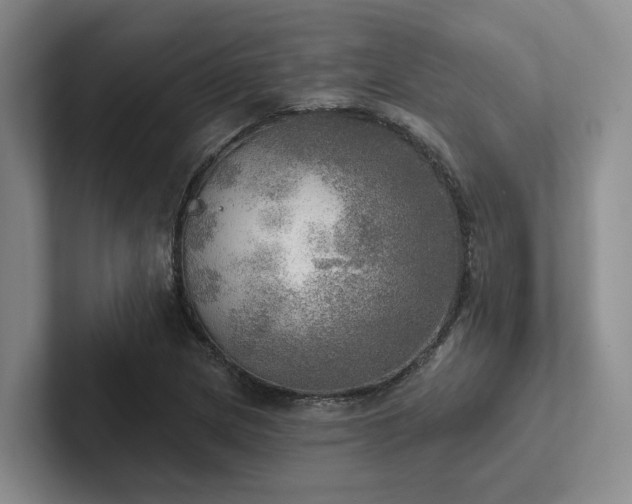 X0000102501217200808081342