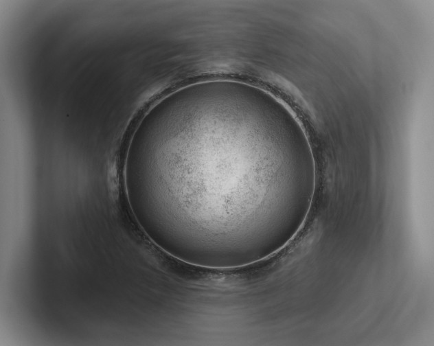 X0000102501218200808081342