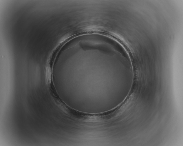 X0000102501219200808081342