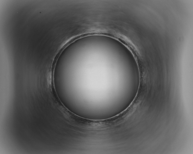 X0000102501220200808081342