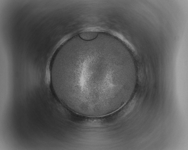 X0000102501221200808081342