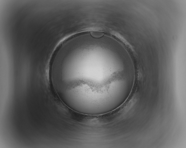 X0000102501222200808081342