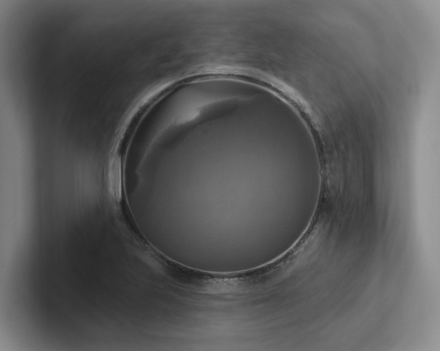 X0000102501223200808081342