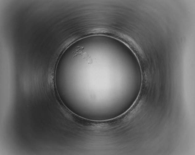 X0000102501225200808081342