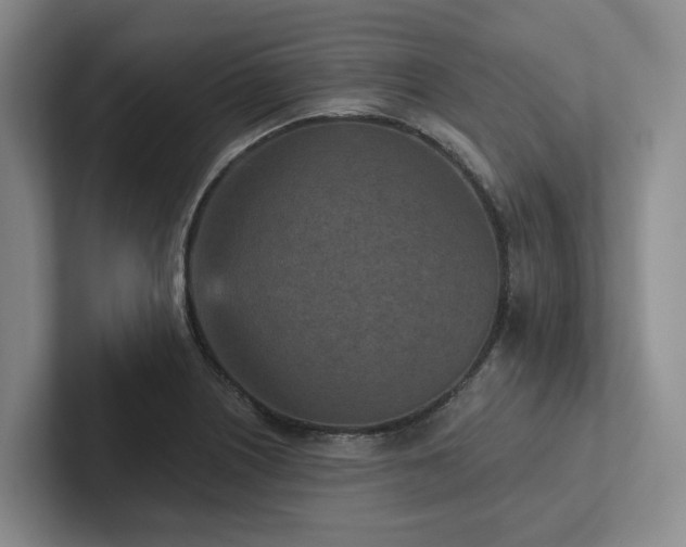 X0000102501226200808081342
