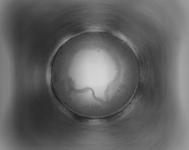 X0000102501227200808081342