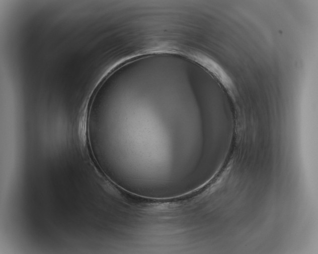 X0000102501228200808081342