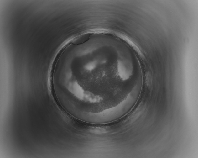 X0000102501229200808081342