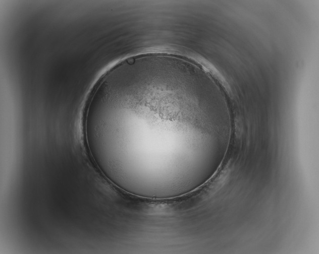 X0000102501230200808081342