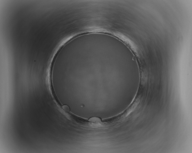 X0000102501231200808081342
