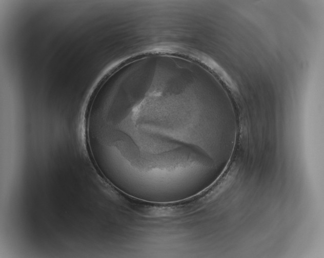 X0000102501232200808081342