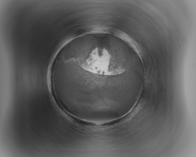 X0000102501235200808081342