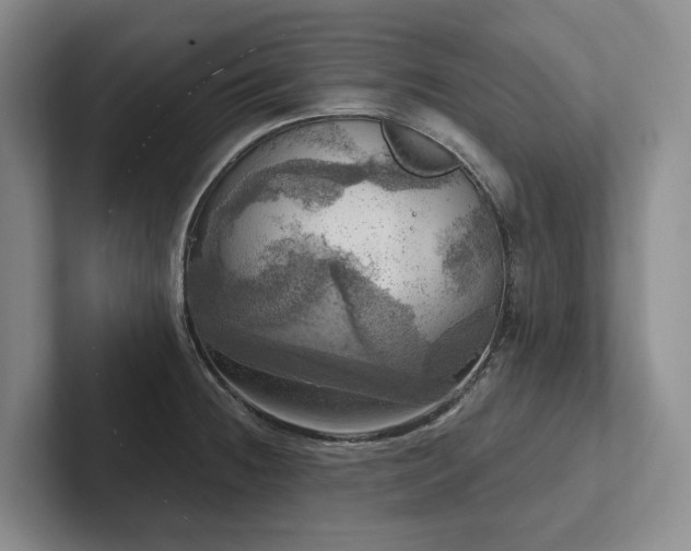 X0000102501236200808081342
