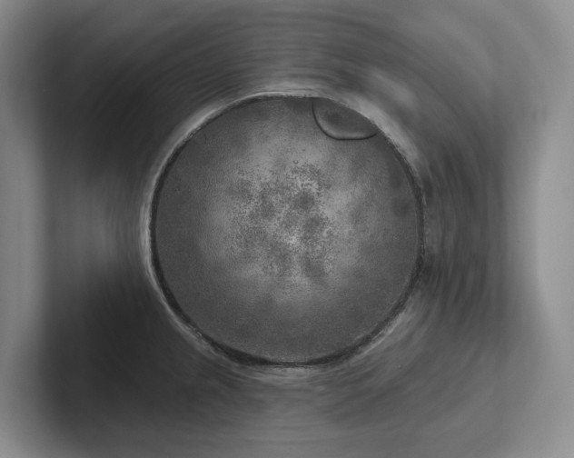 X0000102501237200808081342