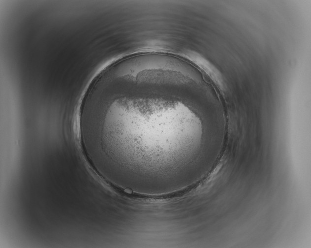 X0000102501238200808081342