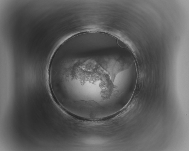 X0000102501239200808081342
