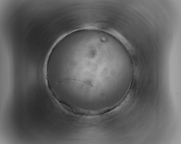 X0000102501240200808081342