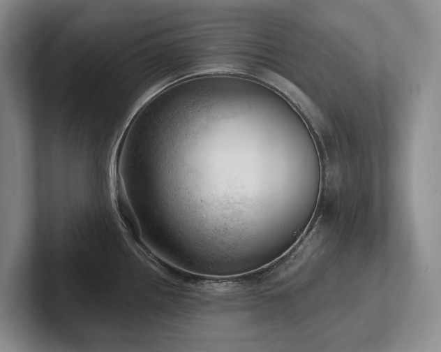 X0000102501242200808081342
