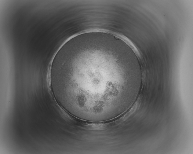 X0000102501244200808081342