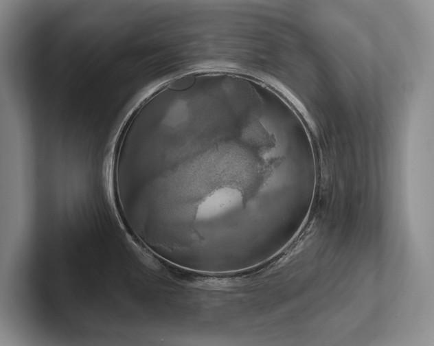 X0000102501245200808081342