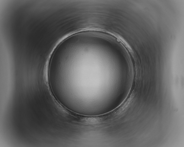 X0000102501246200808081342