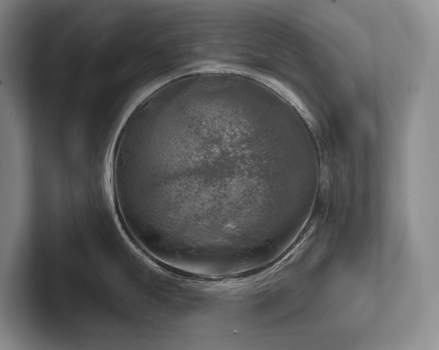 X0000102501247200808081342
