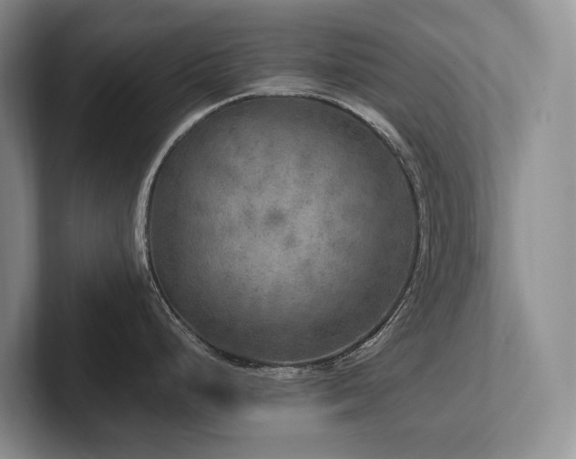 X0000102501248200808081342