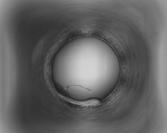 X0000102501249200808081342