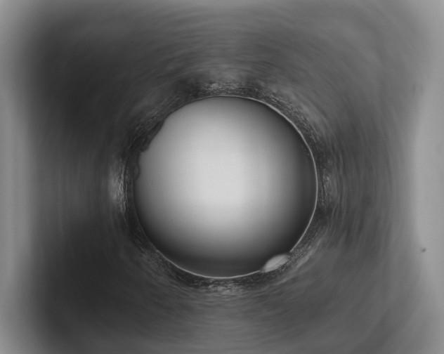X0000102501250200808081342