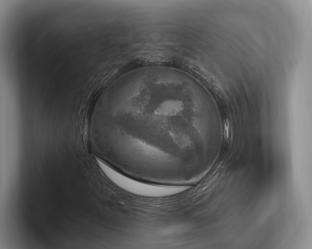 X0000102501251200808081342