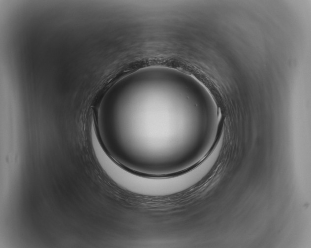 X0000102501252200808081342