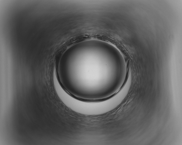 X0000102501253200808081342
