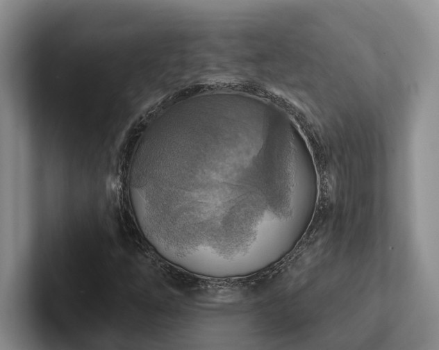 X0000102501254200808081342