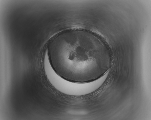 X0000102501255200808081342