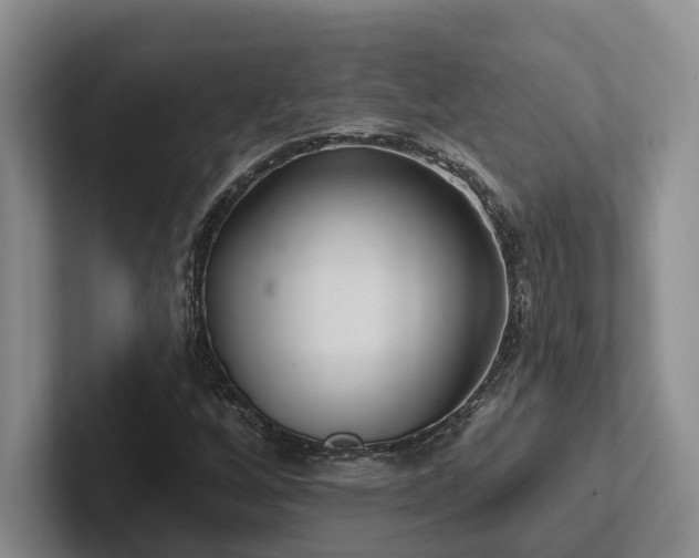 X0000102501256200808081342