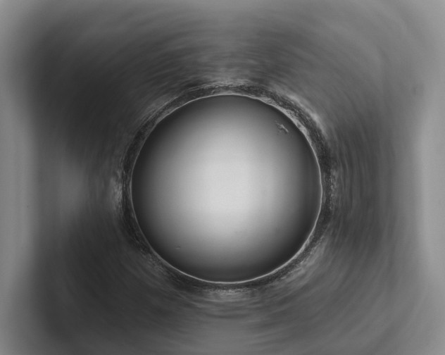 X0000102501257200808081342