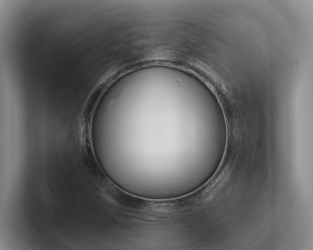 X0000102501258200808081342