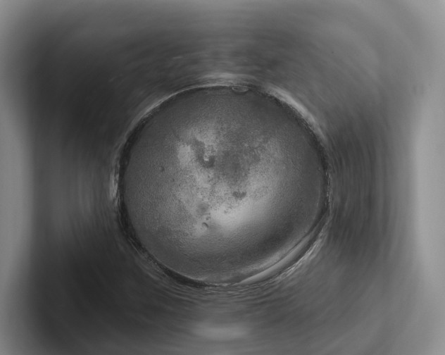 X0000102501259200808081342