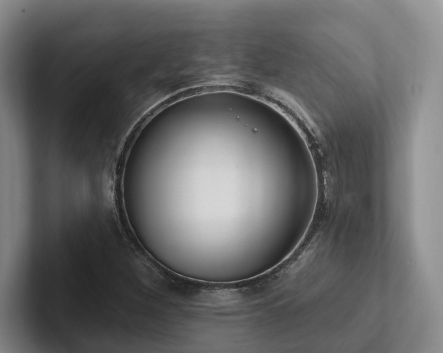 X0000102501260200808081342