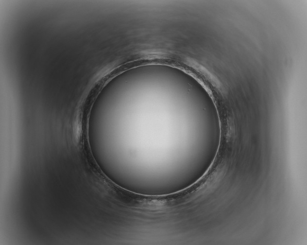 X0000102501261200808081342