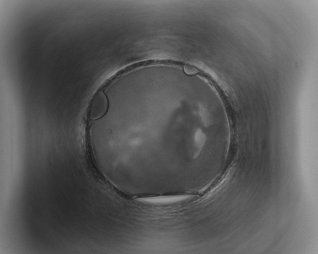 X0000102501263200808081342
