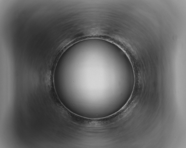 X0000102501265200808081342