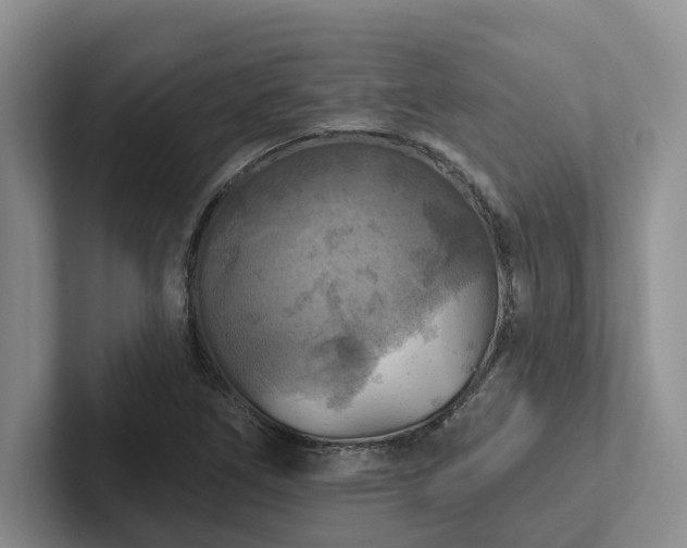 X0000102501266200808081342