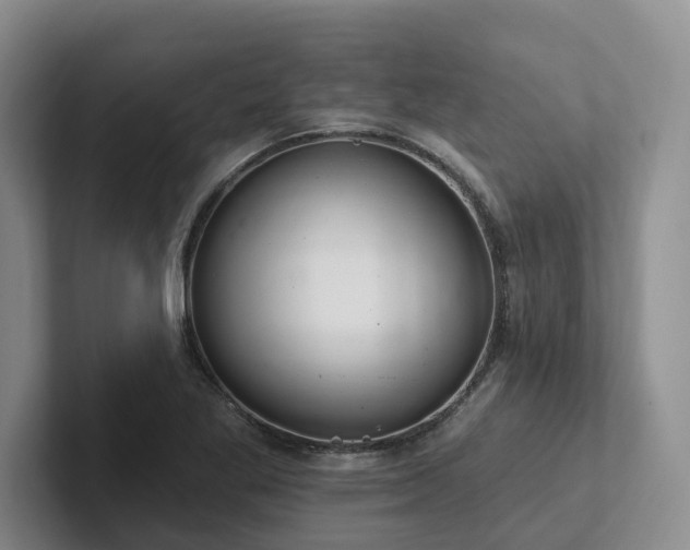 X0000102501269200808081342