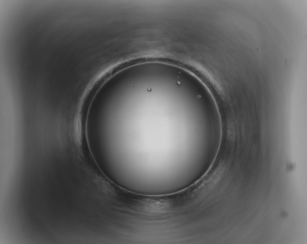 X0000102501270200808081342