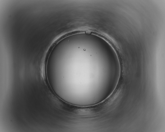 X0000102501272200808081342