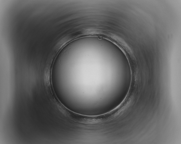 X0000102501273200808081341